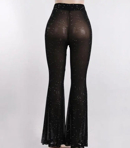 Black & Shine Mesh Pants