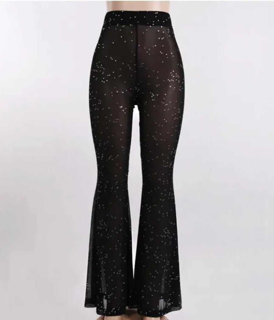 Black & Shine Mesh Pants